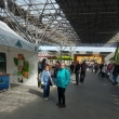 V�stava Bonsaj� v Krom����i