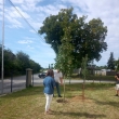Vlet Melice