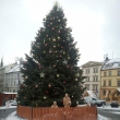 V�noce v Brn�