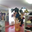 V�let do Nov�ho Ji��na,Plo�tinu a Vala�sk� Klobouky.