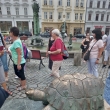 Proch�zky Olomouc�